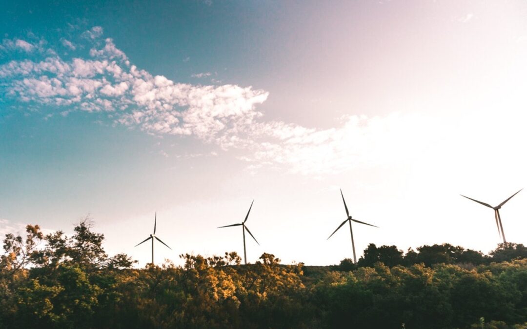 How RFID Supports Sustainability